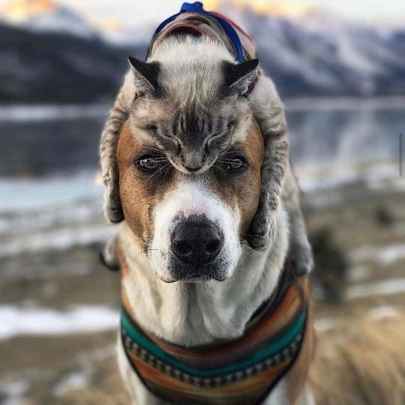 Meet your Posher, Teresa - Picture 6 of 16